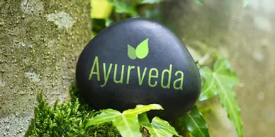 Cozy Ayurveda library with shelves of books on holistic health, natural remedies, and Ayurvedic wisdom, offering a serene space for learning and self-discovery.